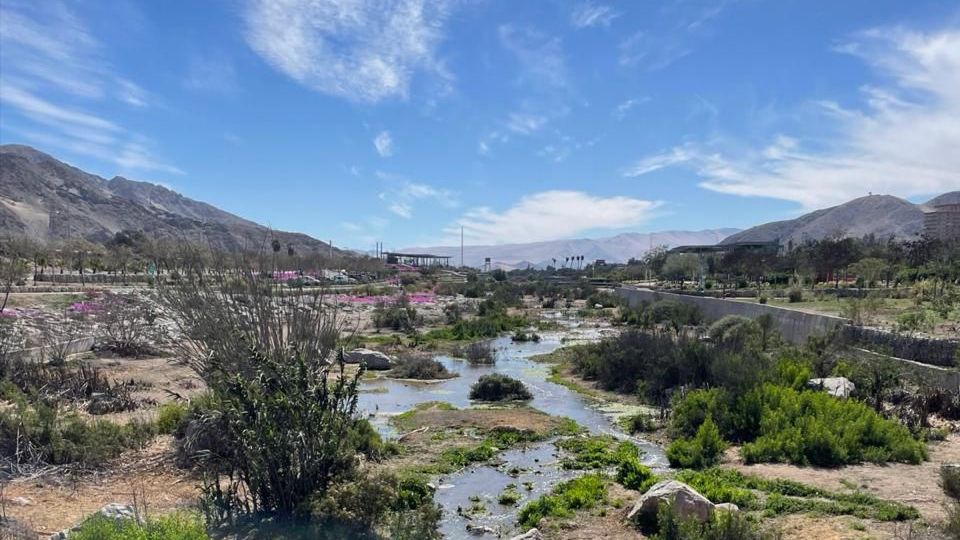 Dirección General de Aguas de Atacama conmemora un año del regreso del río al Parque Kaukari y llama a reforzar su conservación